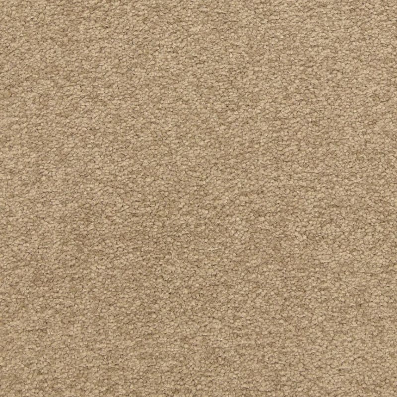 Patriot carpet by Masland