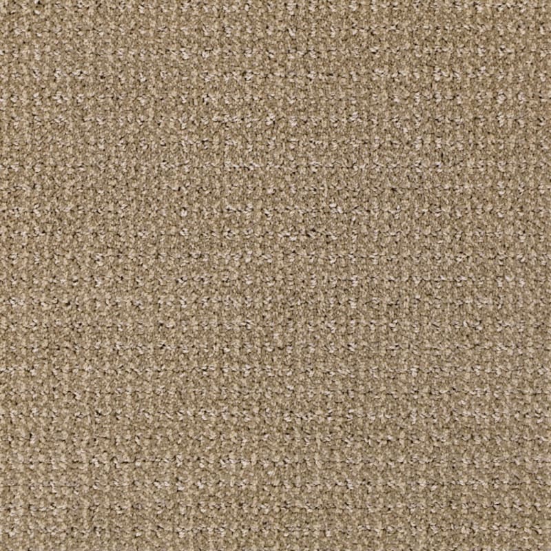 Grand Champion carpet by Masland
