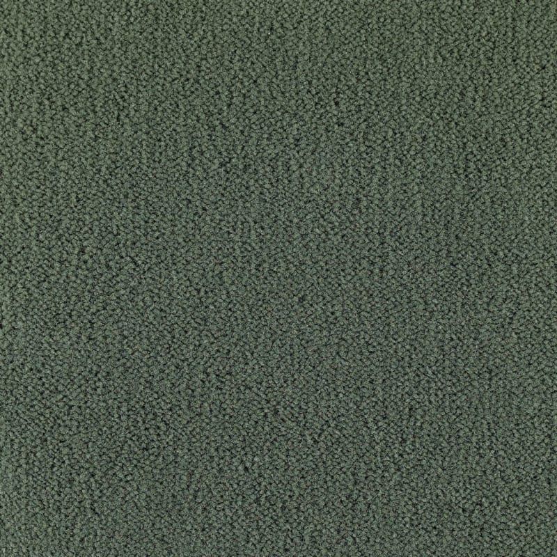 Panache carpet by Masland