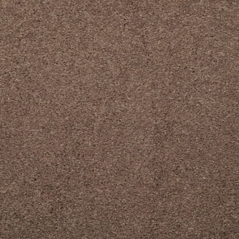 Embrace carpet by Masland