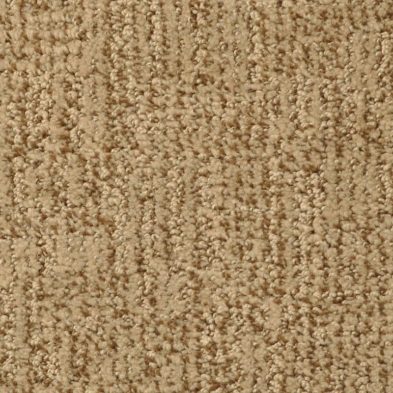 Casa Grande carpet by Masland