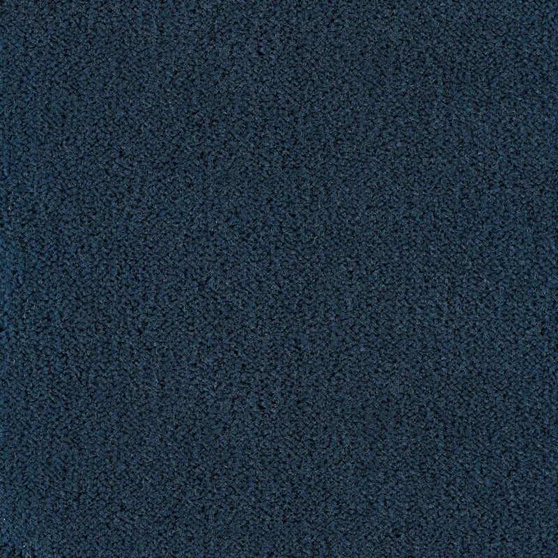Panache carpet by Masland