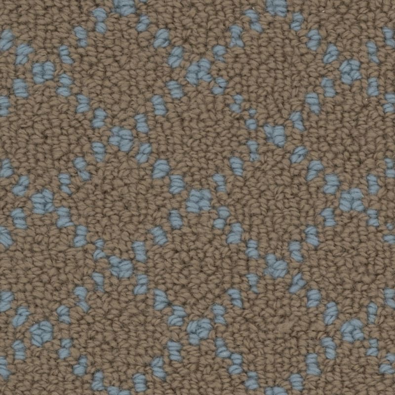 Charmant carpet by Masland