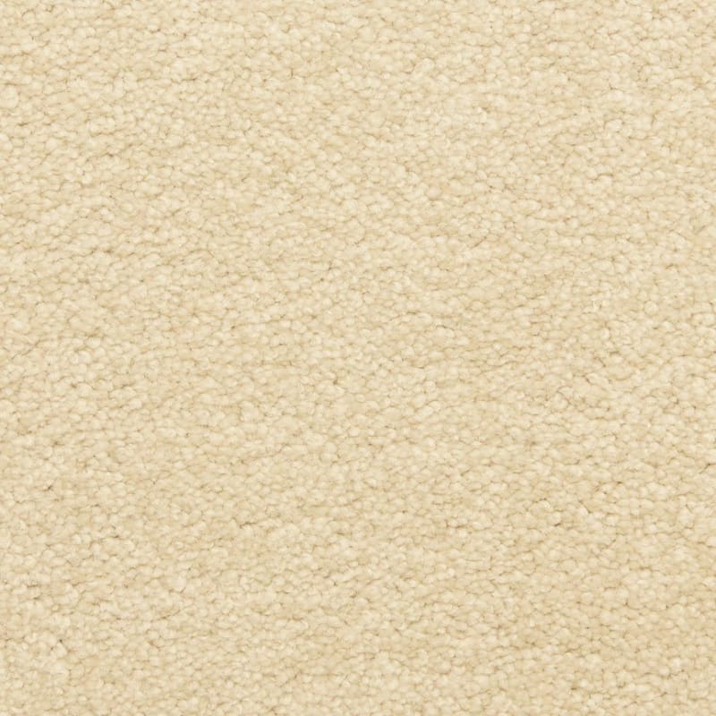 Staccato carpet by Masland