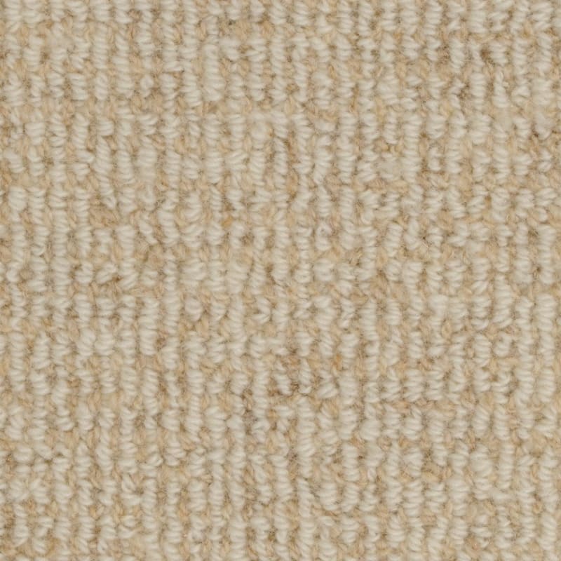 Heatherpoint carpet by Masland