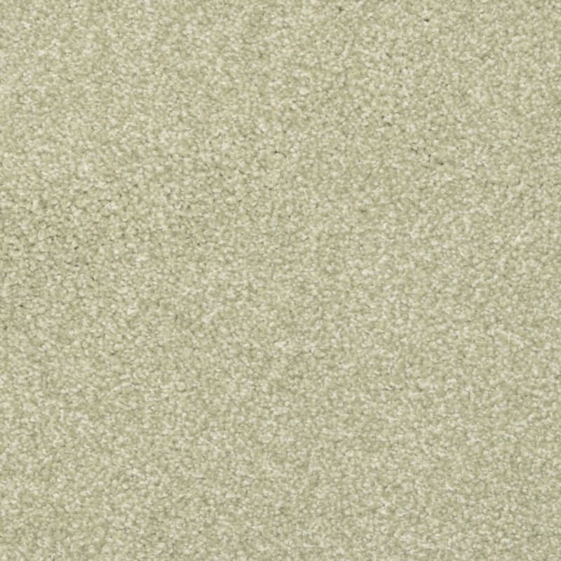 Beacon Hill carpet by Masland