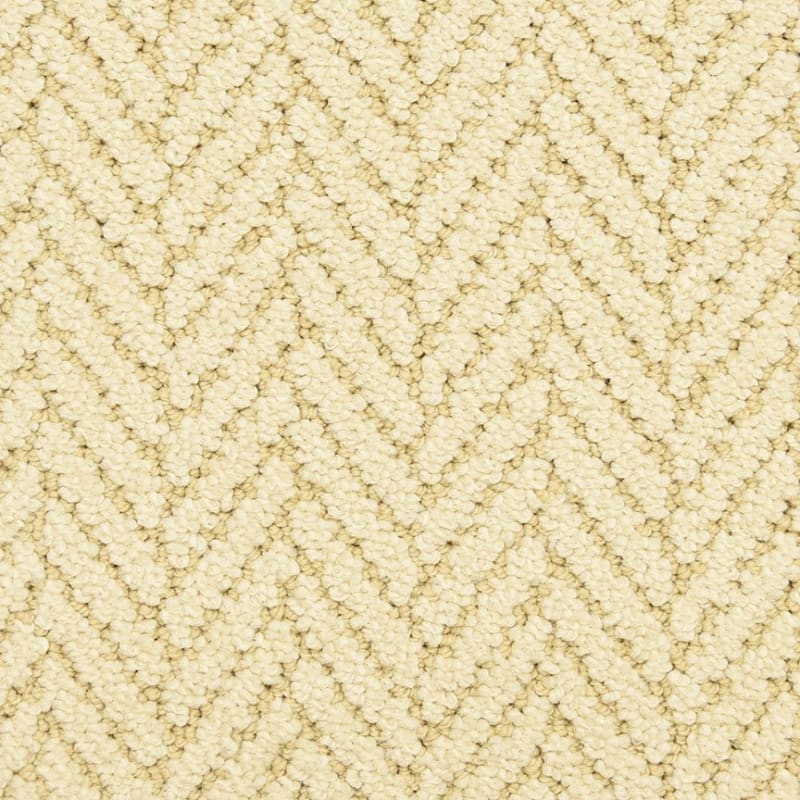 Distinguished carpet by Masland