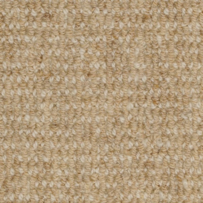Heatherpoint carpet by Masland