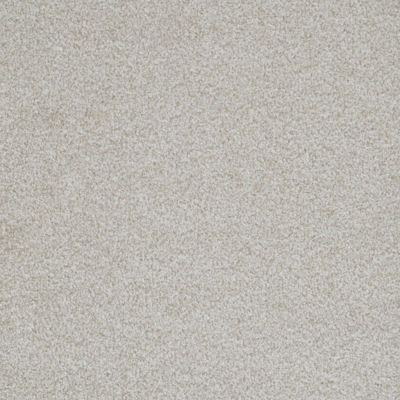 Boca Raton carpet by Masland