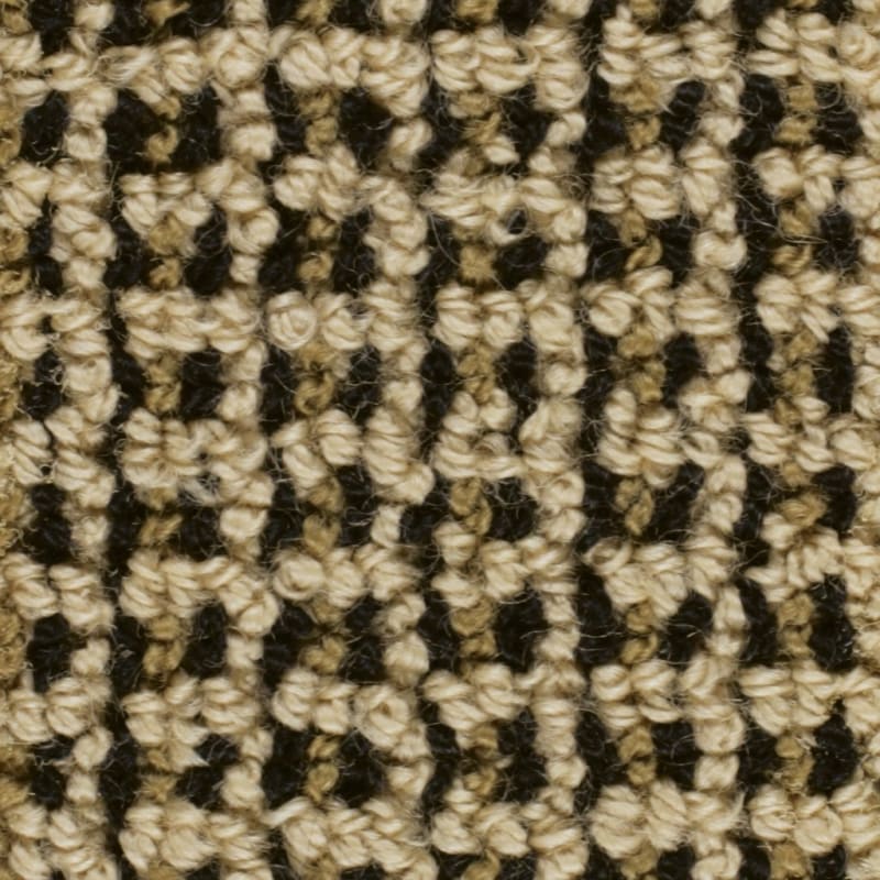 Tresor carpet by Masland