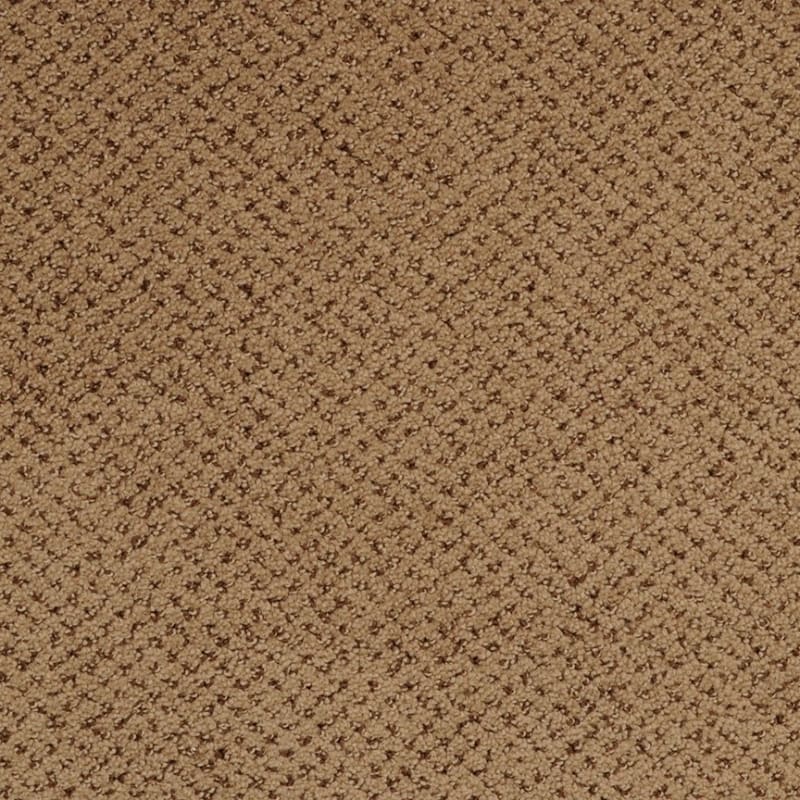 Montauk carpet by Masland