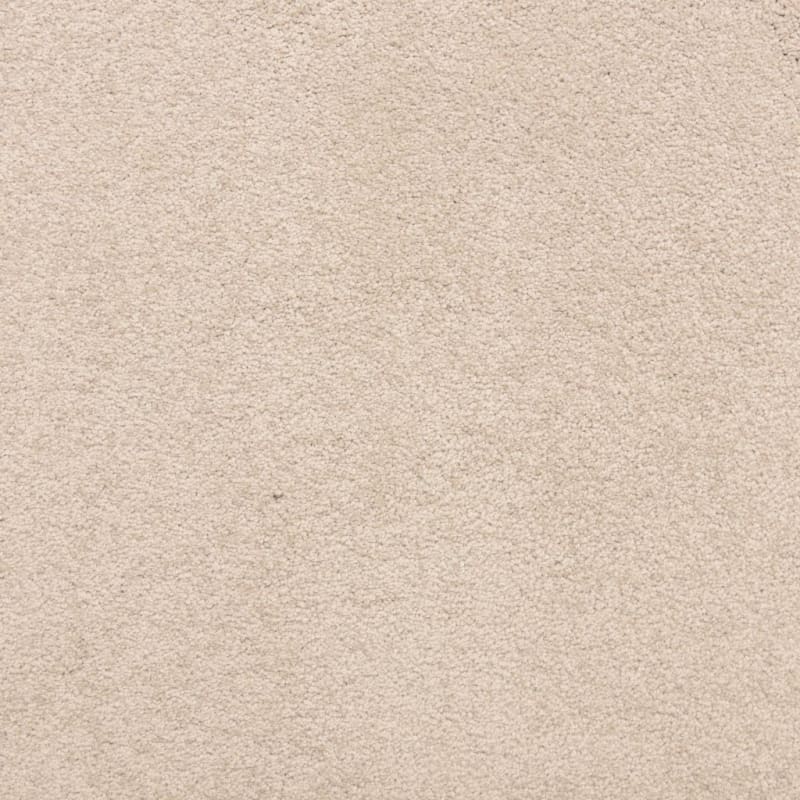 Knockout carpet by Masland
