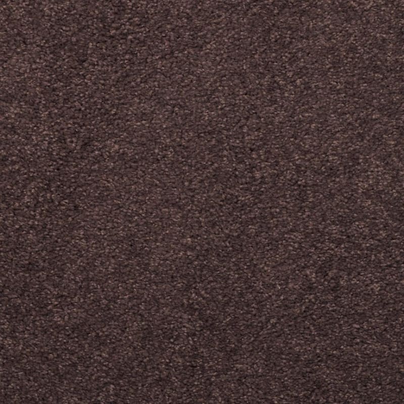 Embrace carpet by Masland