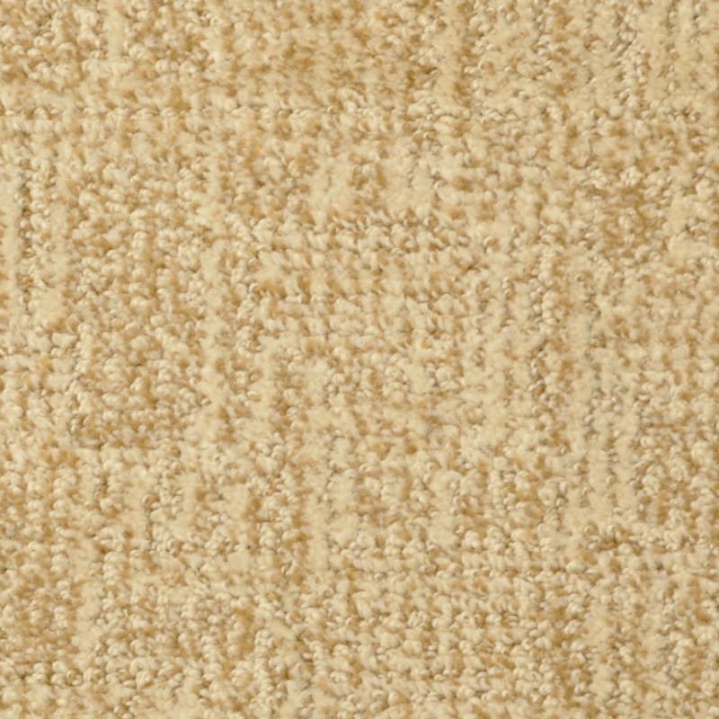 Casa Grande carpet by Masland