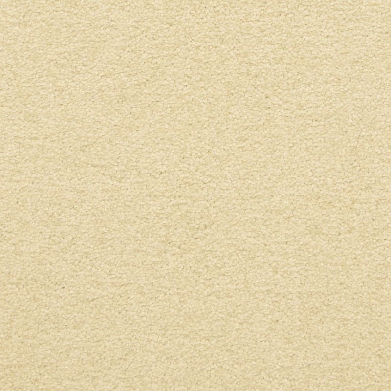 Patriot carpet by Masland
