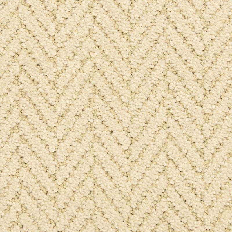 Distinguished carpet by Masland