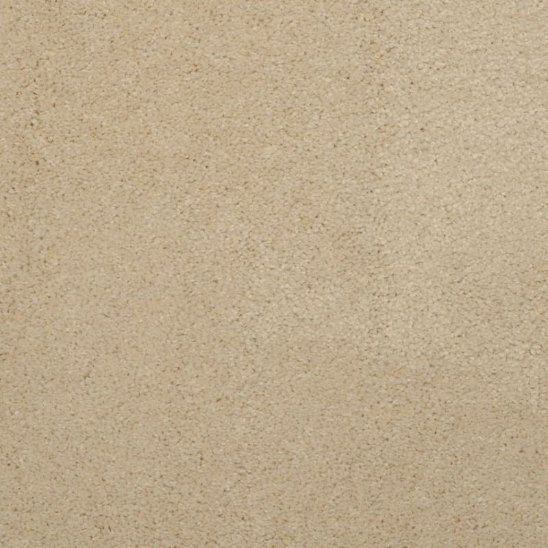 Embrace carpet by Masland