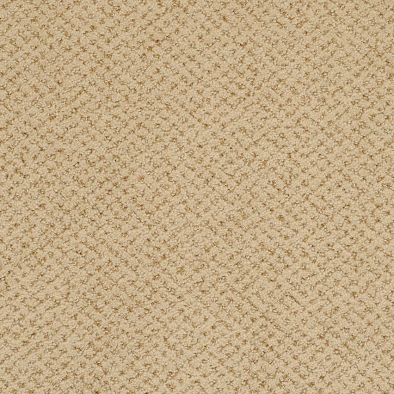 Montauk carpet by Masland