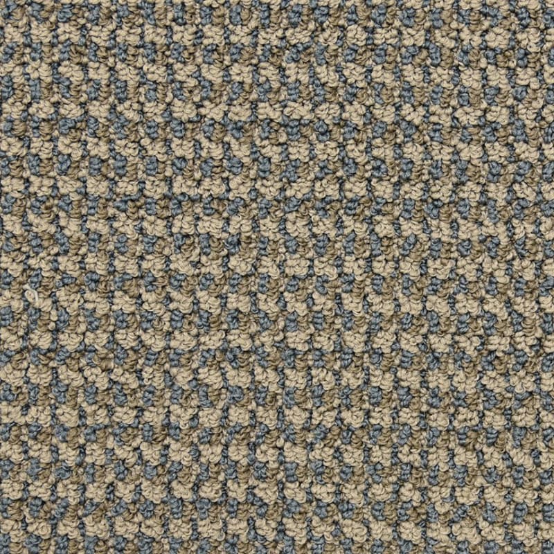 Tango carpet by Masland