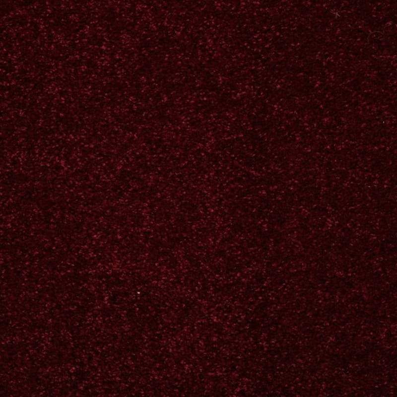 Embrace carpet by Masland