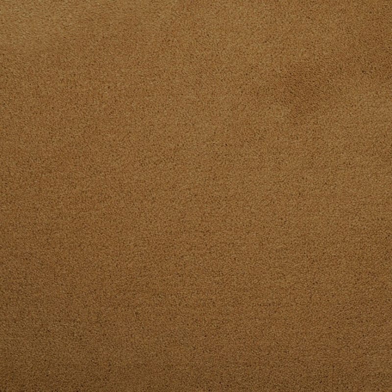 Silk Touch carpet by Masland