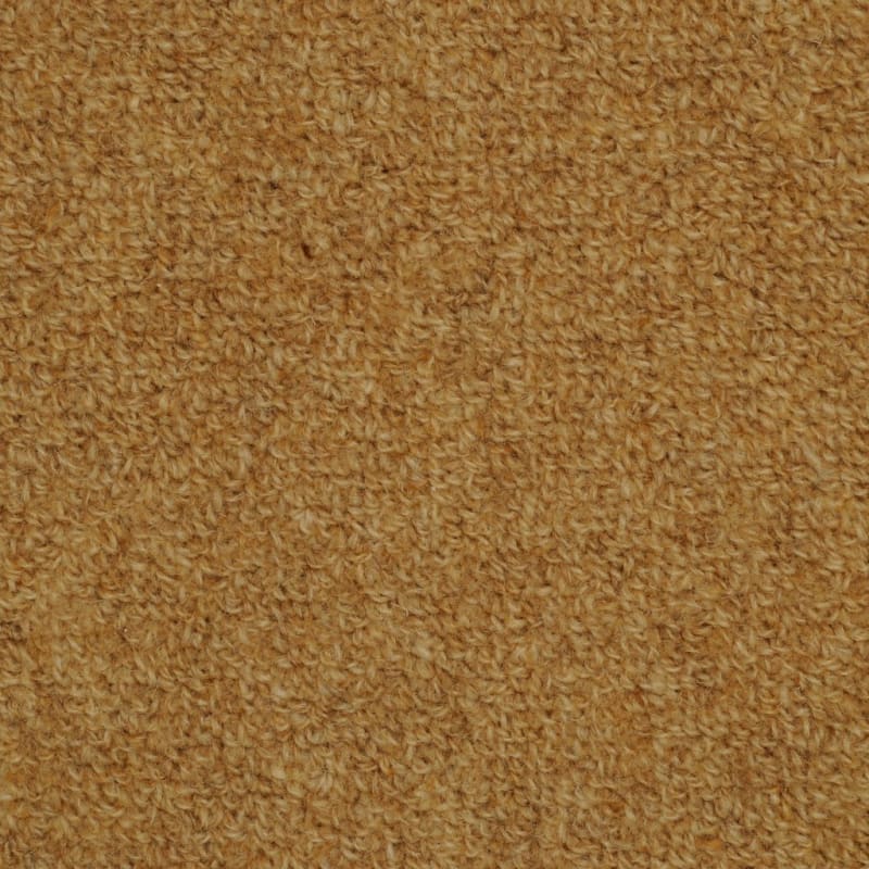 Highland carpet by Masland