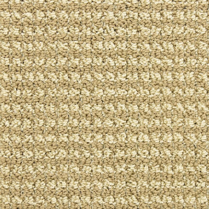 Tango carpet by Masland