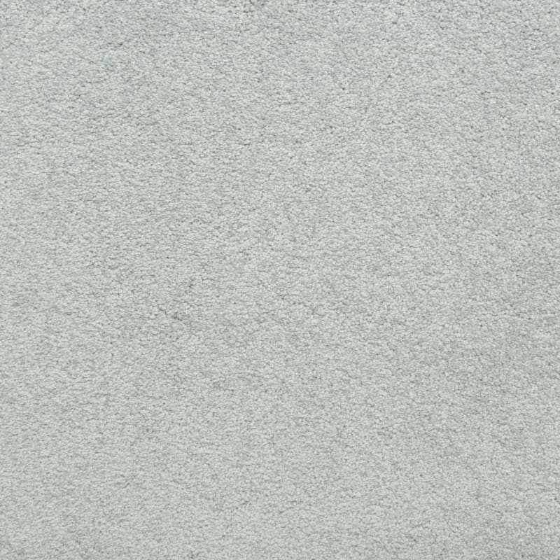 Knockout carpet by Masland
