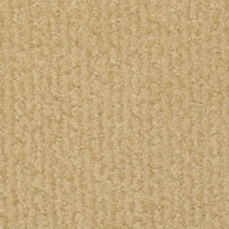 Pinehurst carpet by Masland