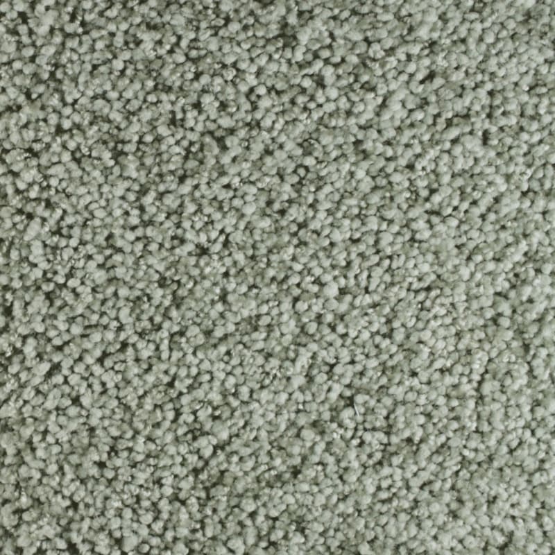 Shangri-La carpet by Masland
