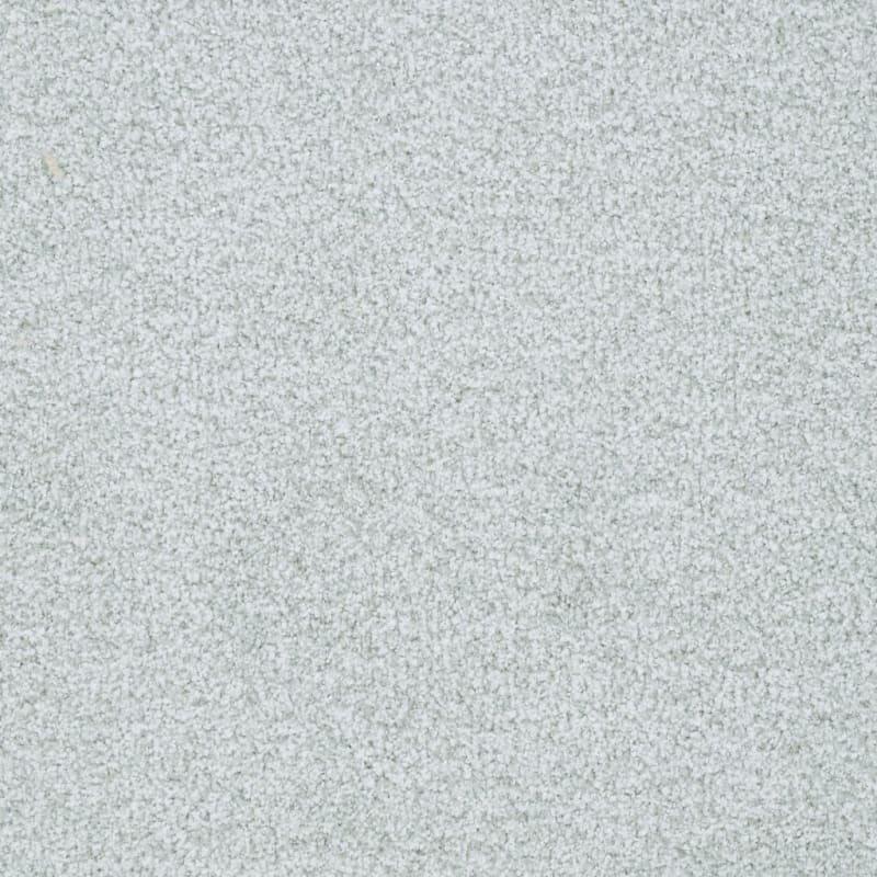 St. Augustine carpet by Masland