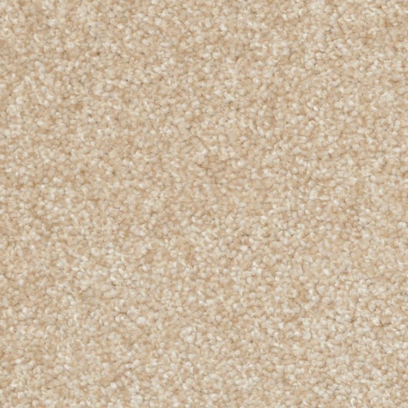 Treasured Moment carpet by Dixie Home