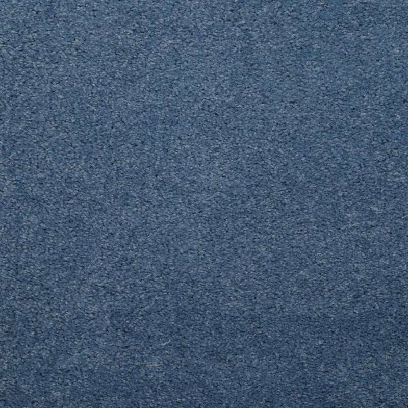 Soft & Silky carpet by Dixie Home