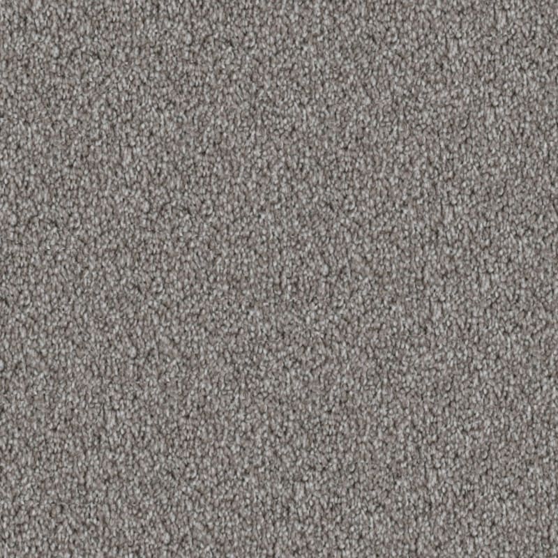 Dx108 carpet by Dixie Home