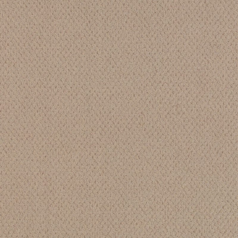 Dx300 carpet by Dixie Home