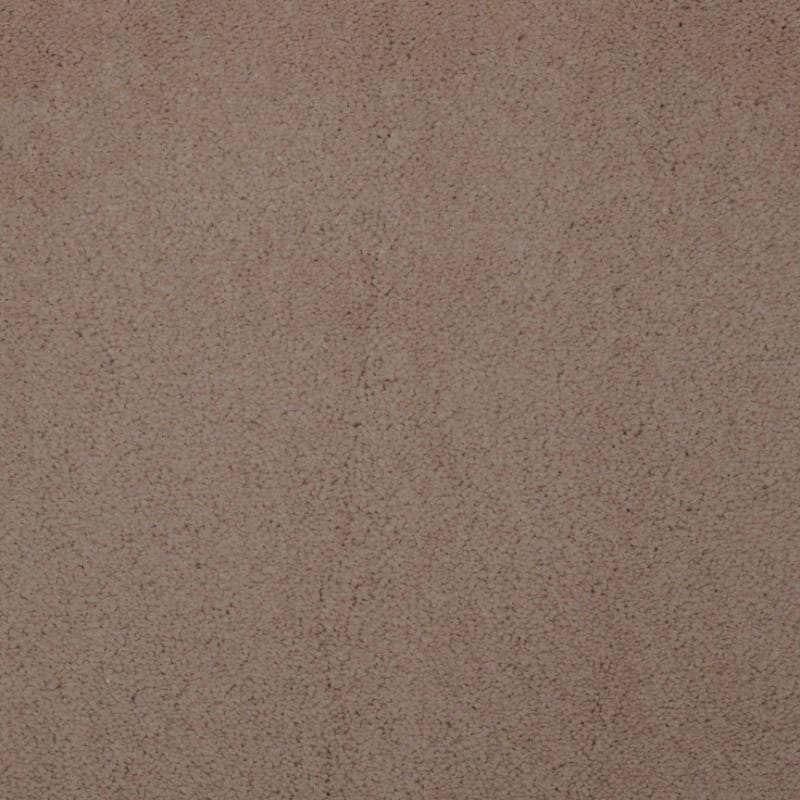 Touch of Velvet carpet by Dixie Home