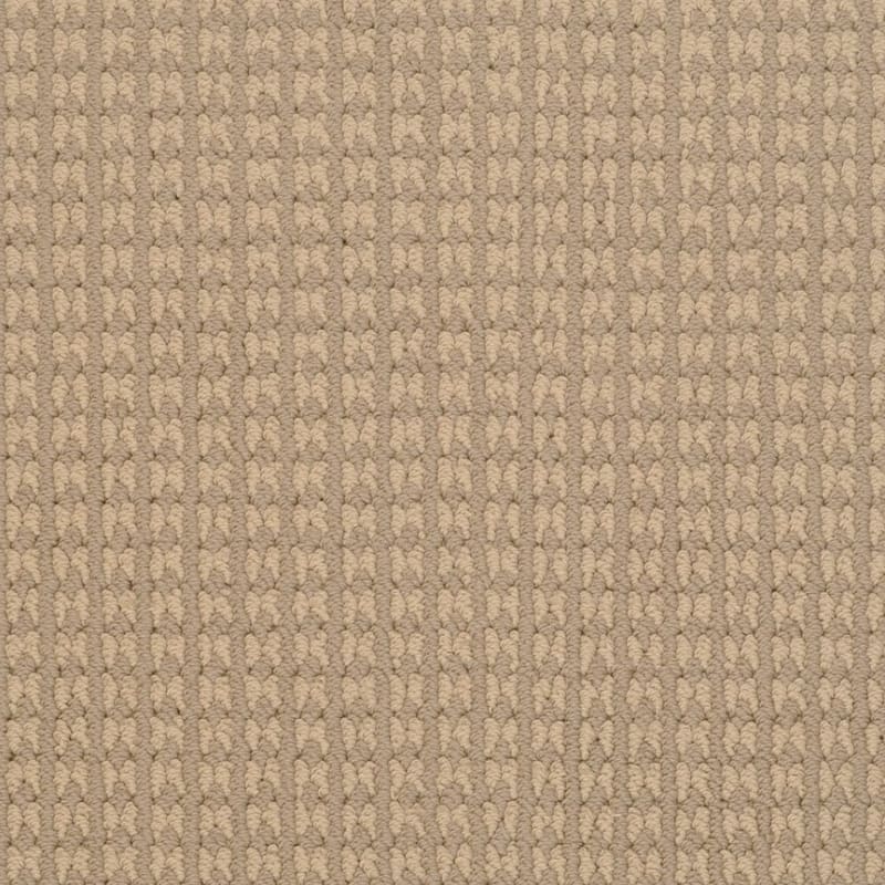 Steadfast carpet by Dixie Home