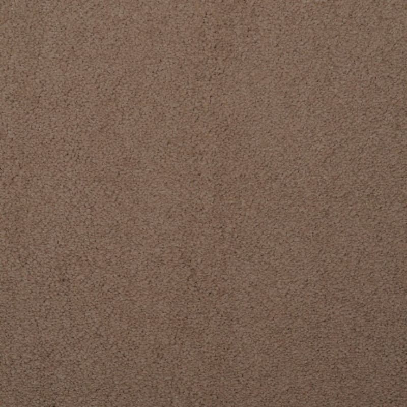 Touch of Velvet carpet by Dixie Home