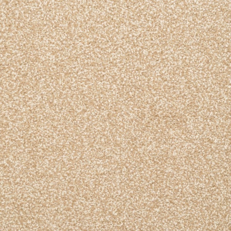 Delight carpet by Dixie Home