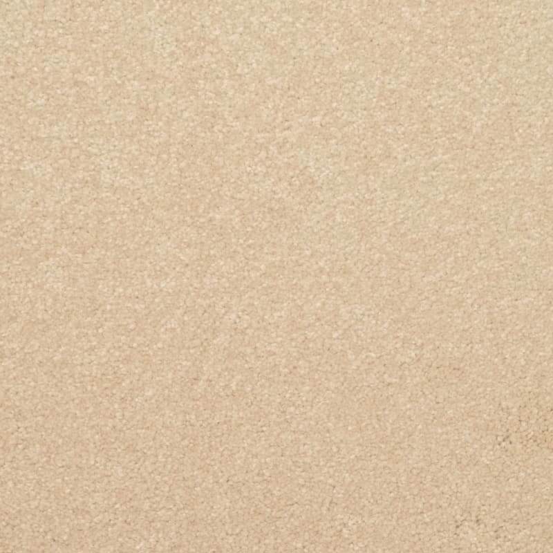 Inspiring carpet by Dixie Home