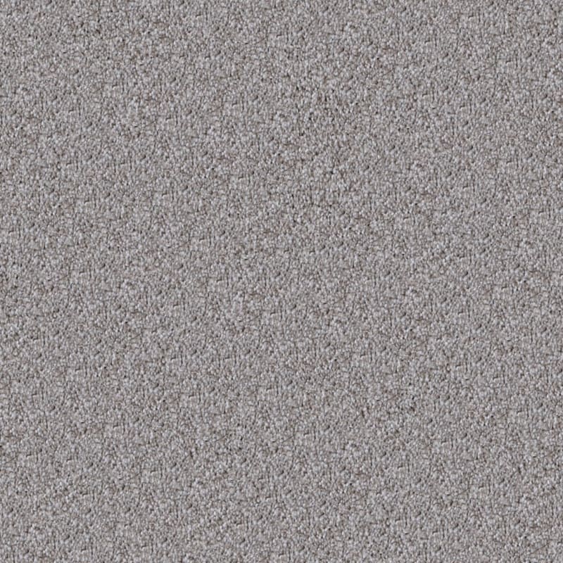 Dx150 carpet by Dixie Home