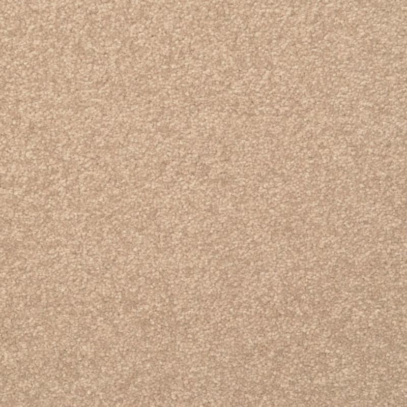 Inspiring carpet by Dixie Home
