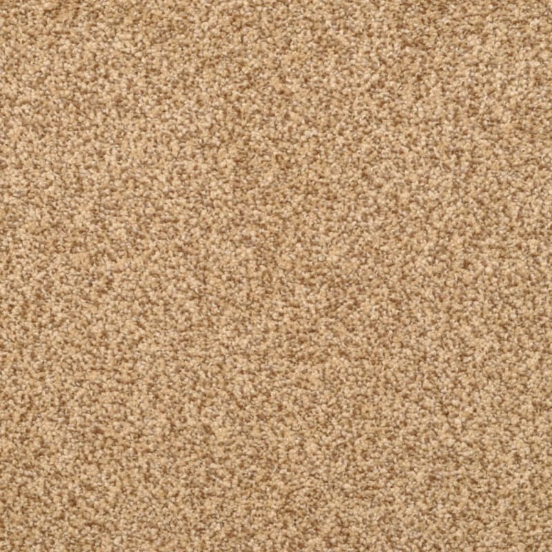 True Comfort carpet by Dixie Home