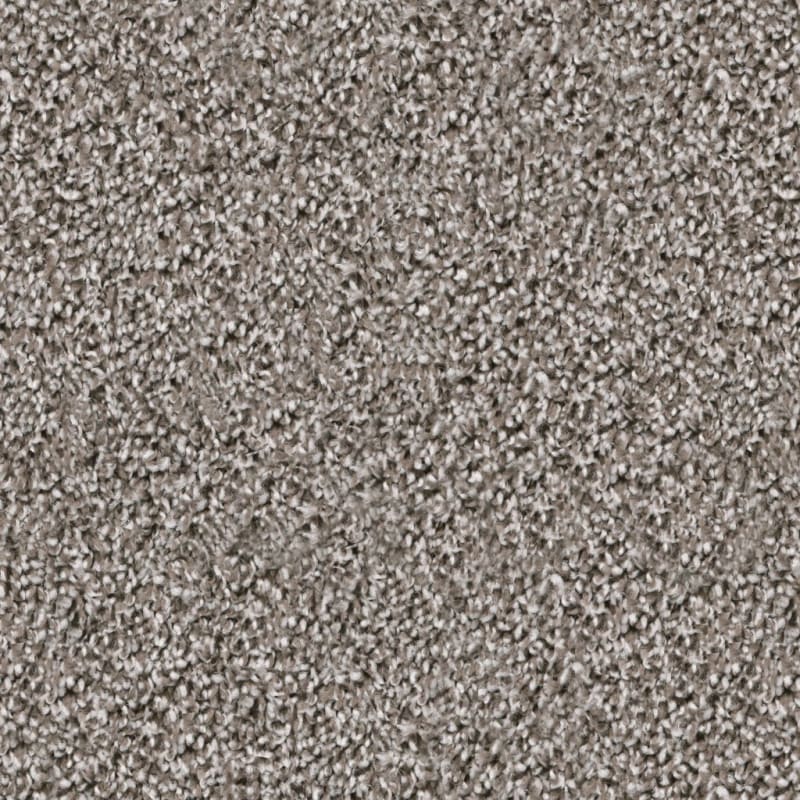 Dx125 carpet by Dixie Home