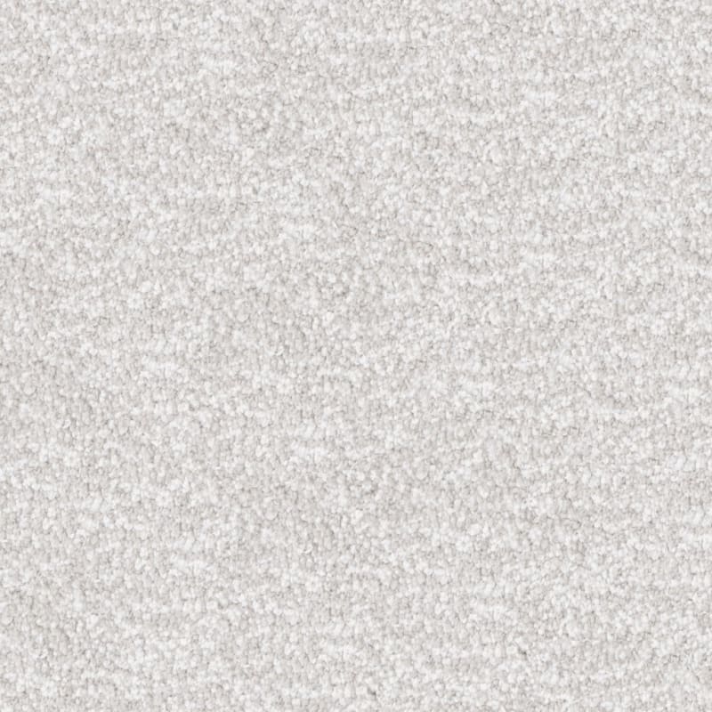 Dx220 carpet by Dixie Home