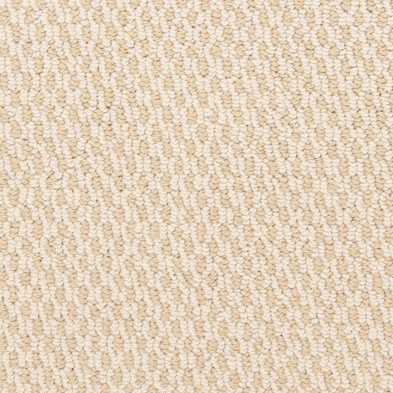 Larson carpet by Dixie Home