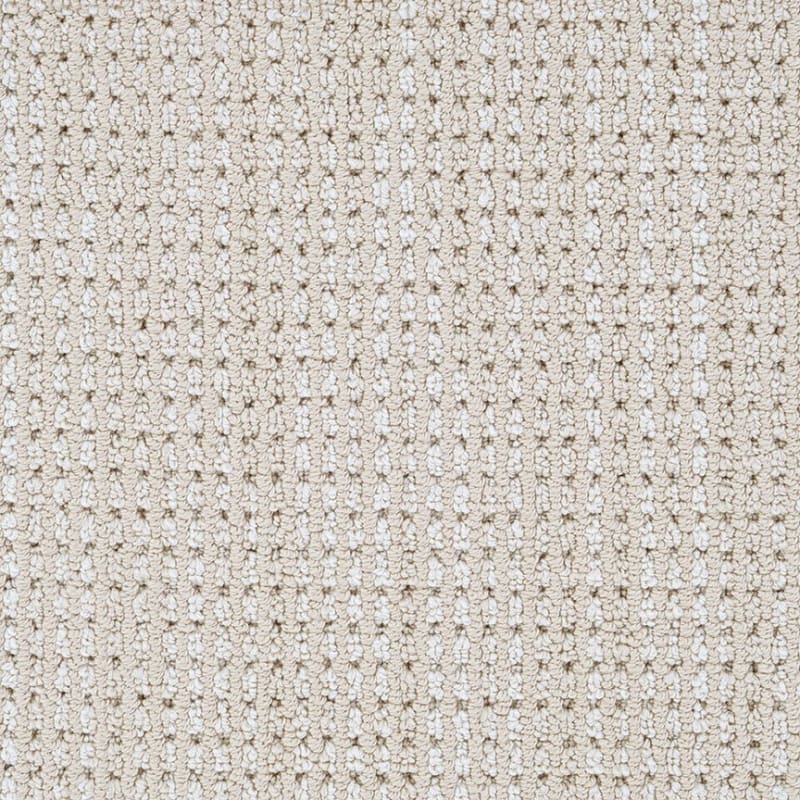 Top Notch carpet by Dixie Home