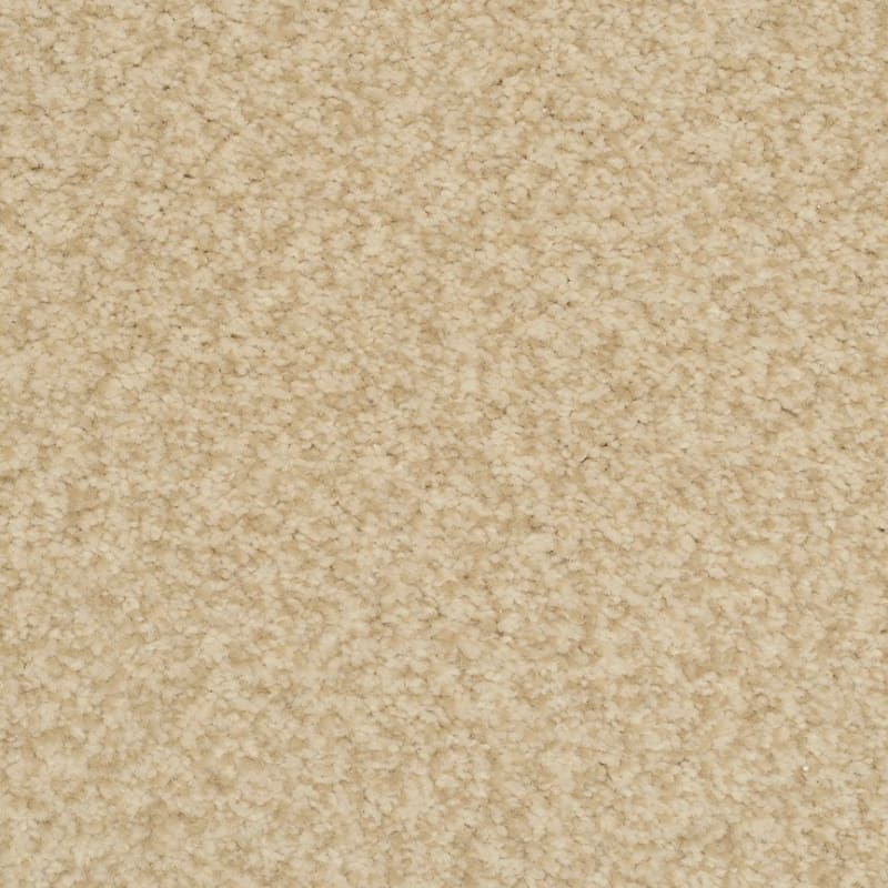 Innovations carpet by Dixie Home