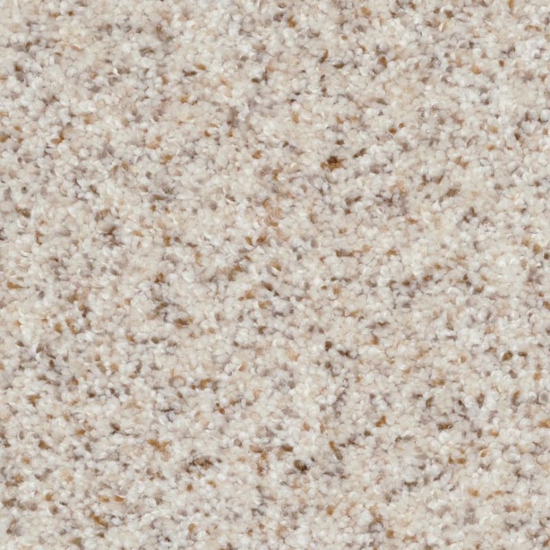 Treasured Moment carpet by Dixie Home