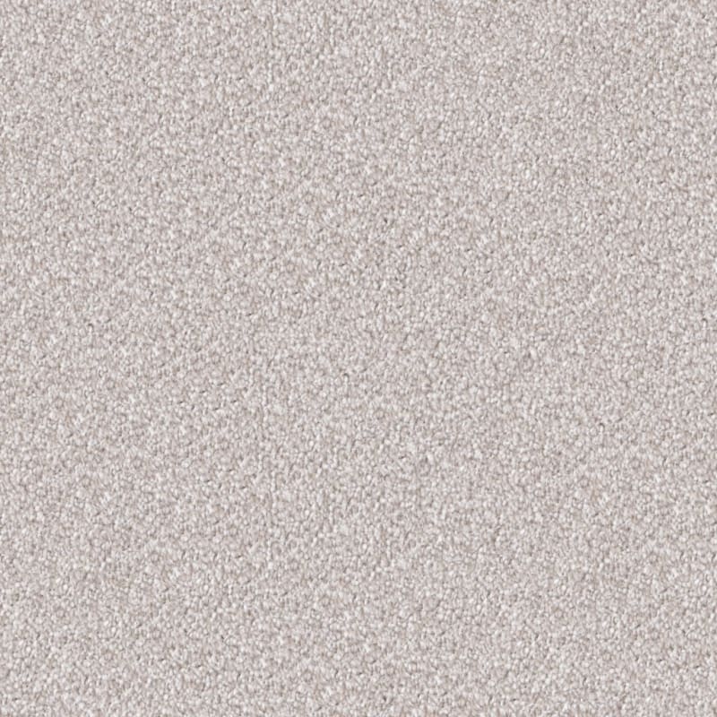 Dx109 carpet by Dixie Home
